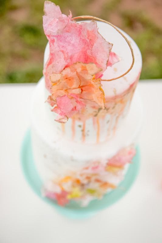 Tiffany Dawson Photography — Photographers, portfolio photo 16