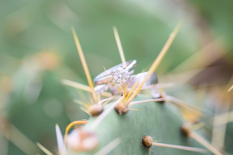Kristine Jayne Photography — Photographers, portfolio photo 14