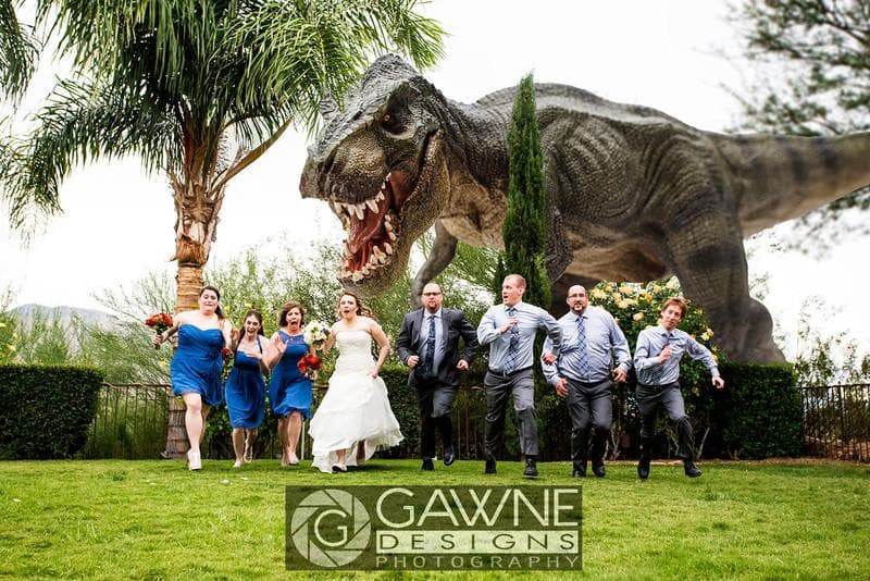 Gawne Designs Photography — Photographers, portfolio photo 6