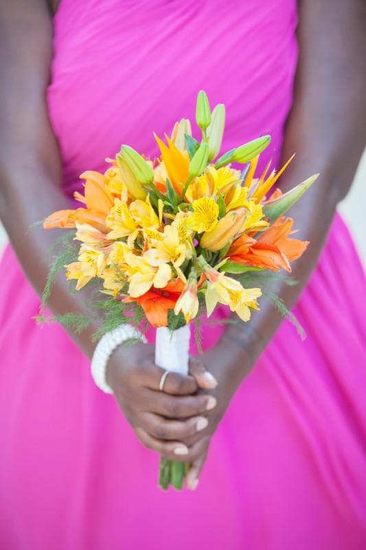 Michelle Davina Photography — Photographers, portfolio photo 13