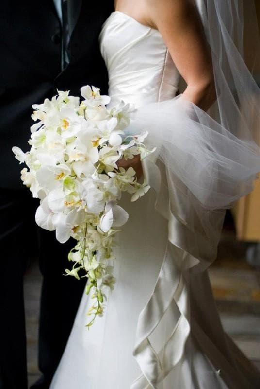 Fionna Floral, gallery photograph 1
