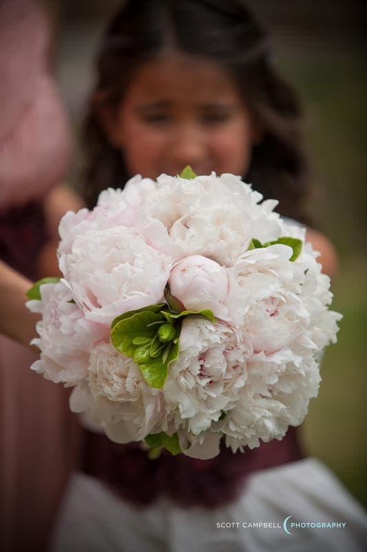 Fionna Floral, gallery photograph 11