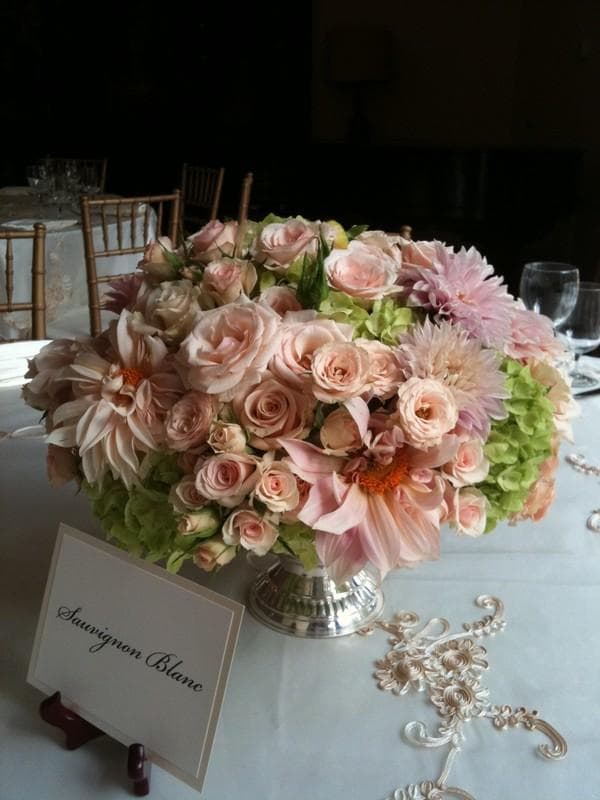 Fionna Floral, gallery photograph 18