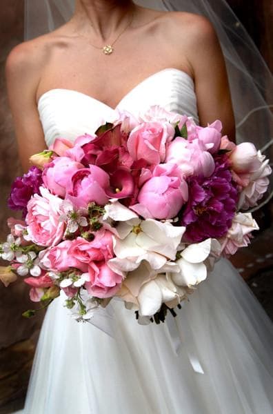 Fionna Floral, gallery photograph 20