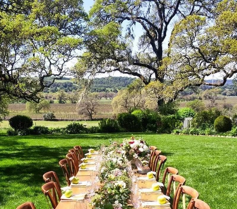 Wine Country Rabbi — Officiant, portfolio photo 17