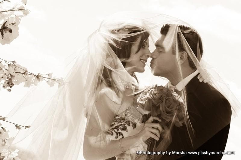 Video Dreams Productions, gallery photograph 19