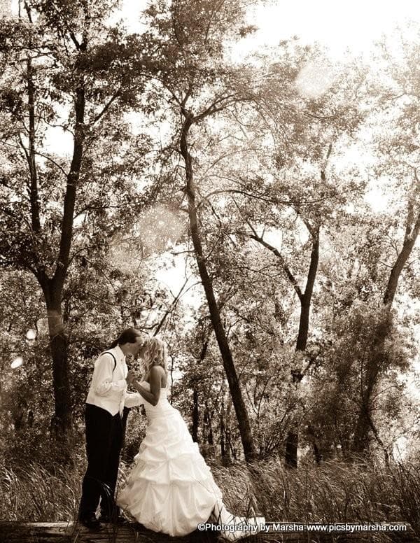 Video Dreams Productions, gallery photograph 20