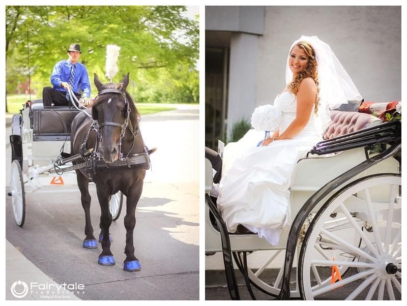 Fairytale Productions Wedding Services — Videographers, portfolio photo 12