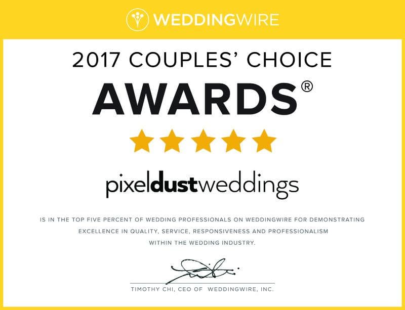 Pixel Dust Weddings — Videographers, portfolio photo 12