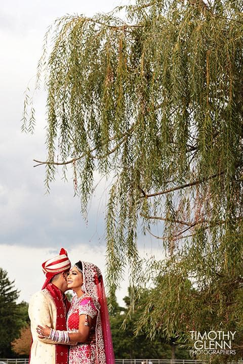 Timothy Glenn Photographers — Photographers, portfolio photo 20