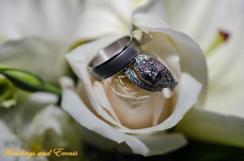 Weddings And Events — Photographers, portfolio photo 13