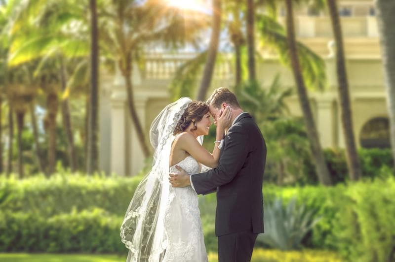 Suzanne Delawar Studios — Photographers, portfolio photo 15