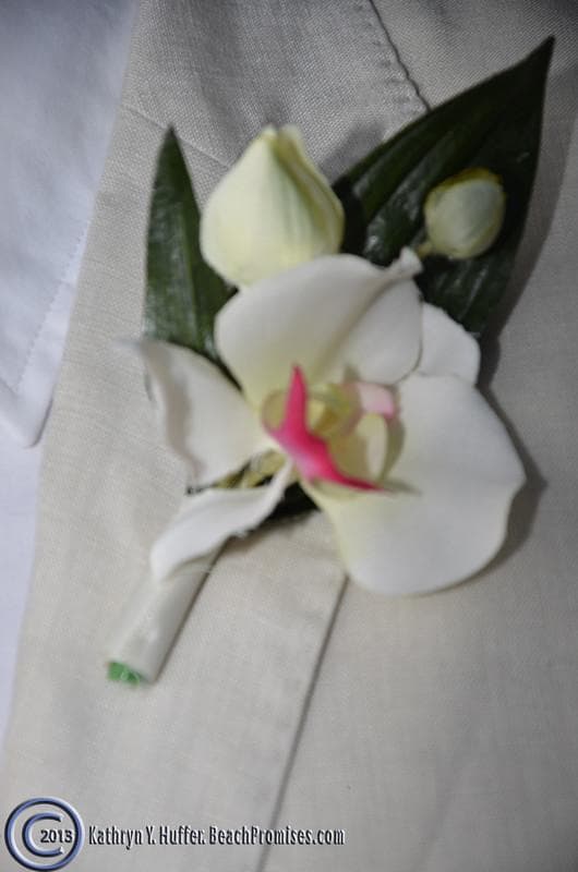 Beach Promises, LLC, gallery photograph 13
