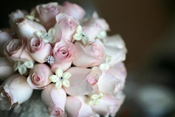 Sheek Floral, gallery photograph 6
