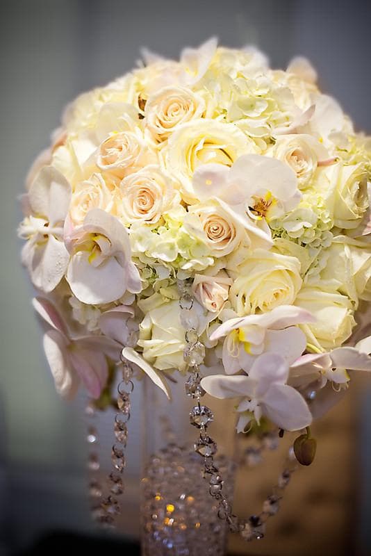 Sheek Floral, gallery photograph 12