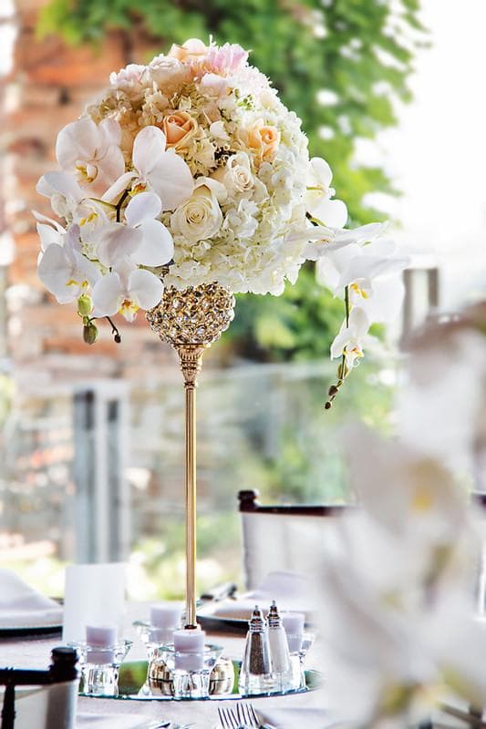 Sheek Floral, gallery photograph 13