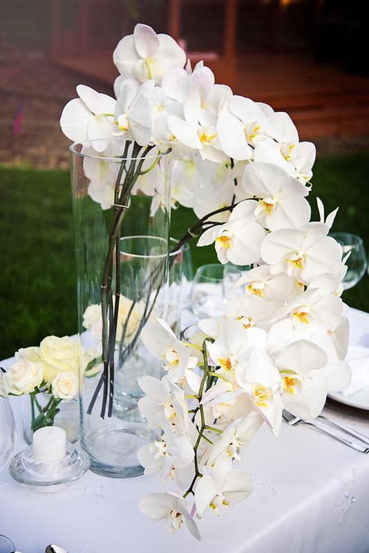 Sheek Floral, gallery photograph 15