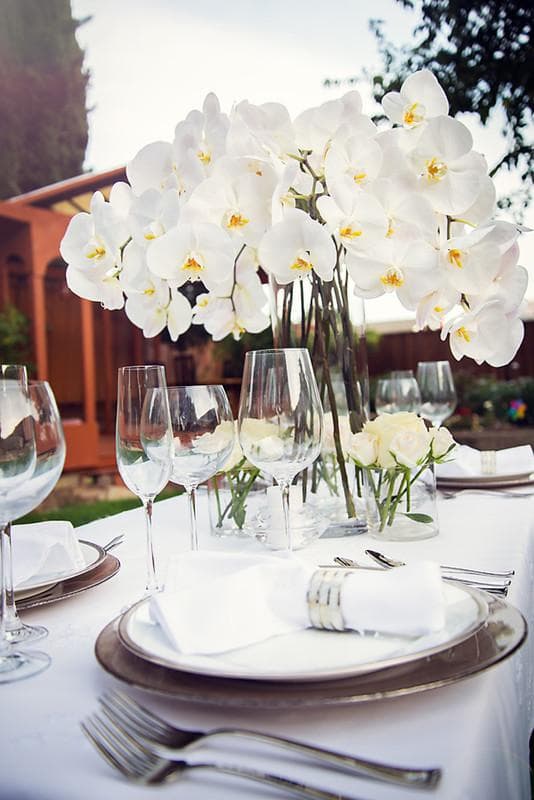 Sheek Floral, gallery photograph 17