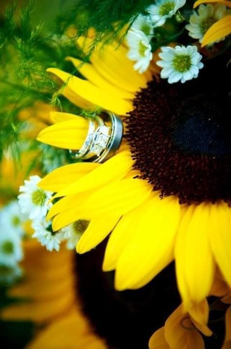 Floral Affairs, gallery photograph 18