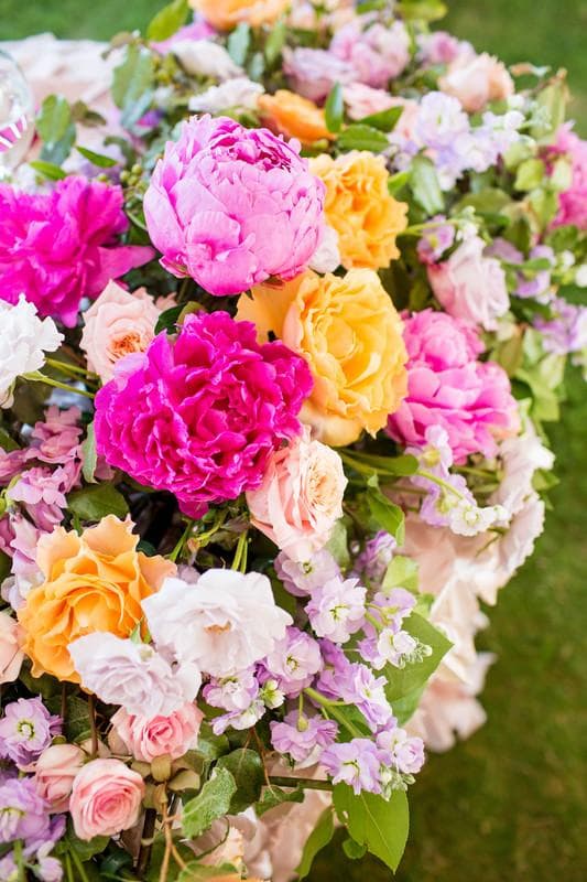 Bells & Whistles @ The Flower Field, gallery photograph 5