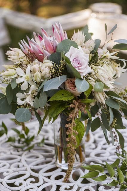 Bells & Whistles @ The Flower Field, gallery photograph 7