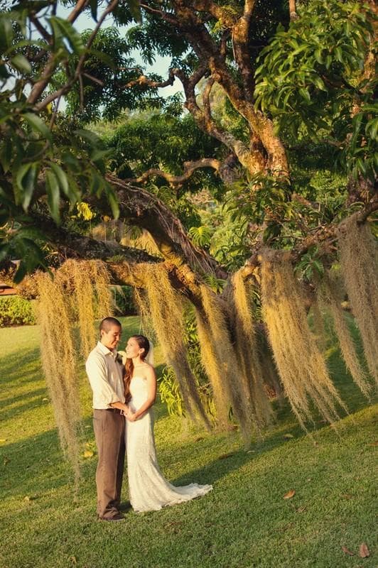 Rachel Robertson Photography, gallery photograph 20