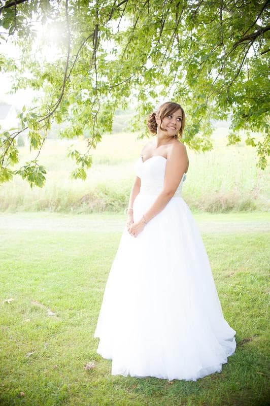 Amanda Brooke Photography, gallery photograph 2