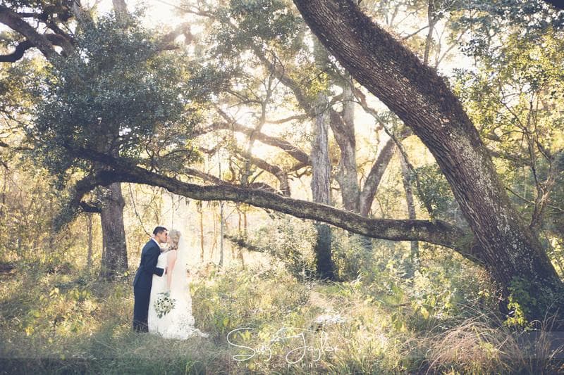 Suzy Taylor Photography, gallery photograph 2