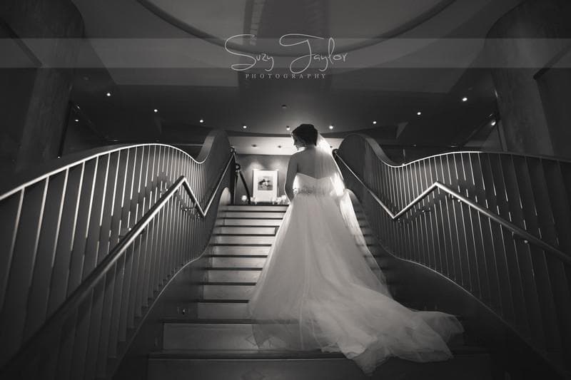Suzy Taylor Photography, gallery photograph 18