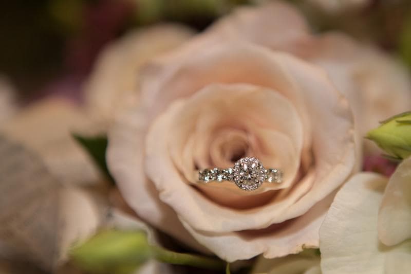 Steffi R. Photography, gallery photograph 15