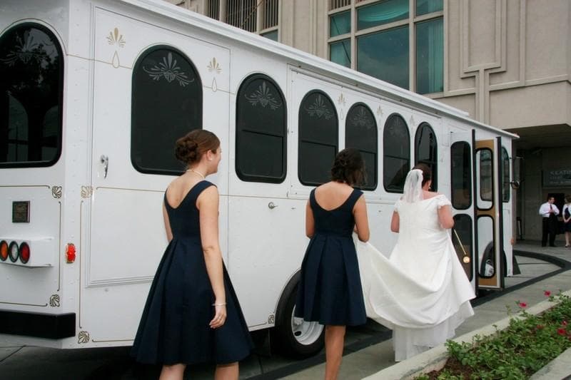 Cescaphe Trolley, gallery photograph 6