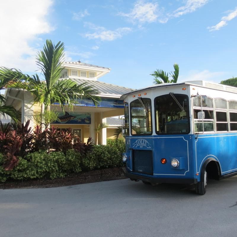 Island Time Trolley — Transportation, portfolio photo 9