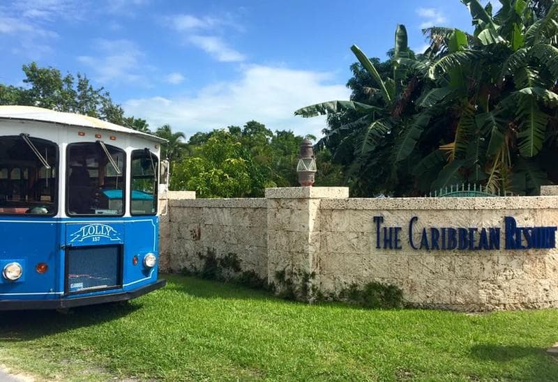 Island Time Trolley — Transportation, portfolio photo 10