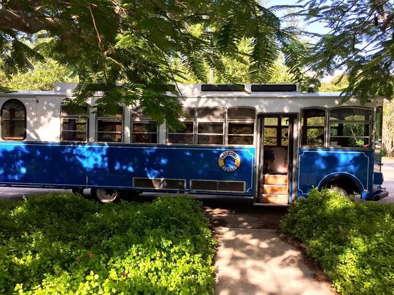 Island Time Trolley — Transportation, portfolio photo 11