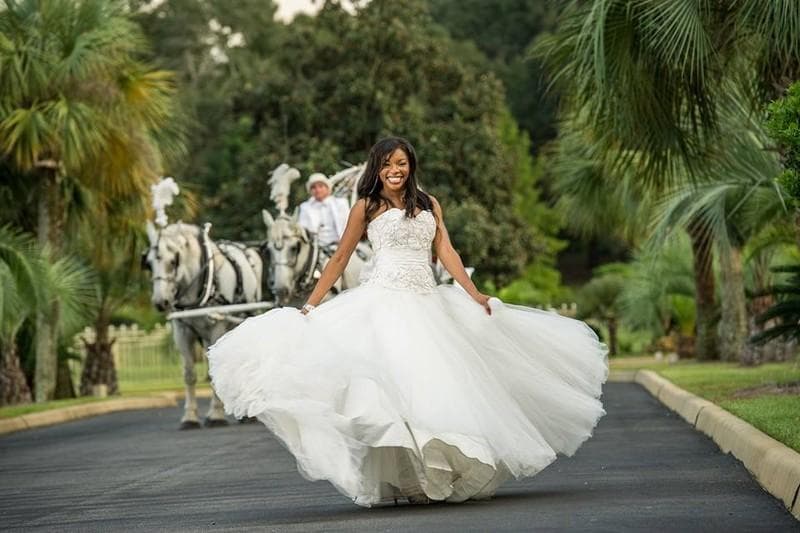 Bay Limousine Service, gallery photograph 2