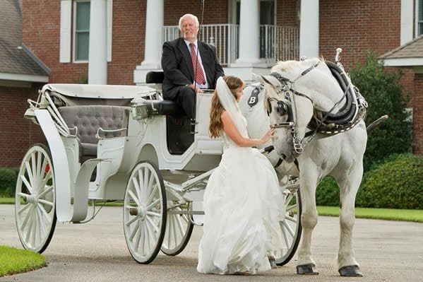 Bay Limousine Service, gallery photograph 4