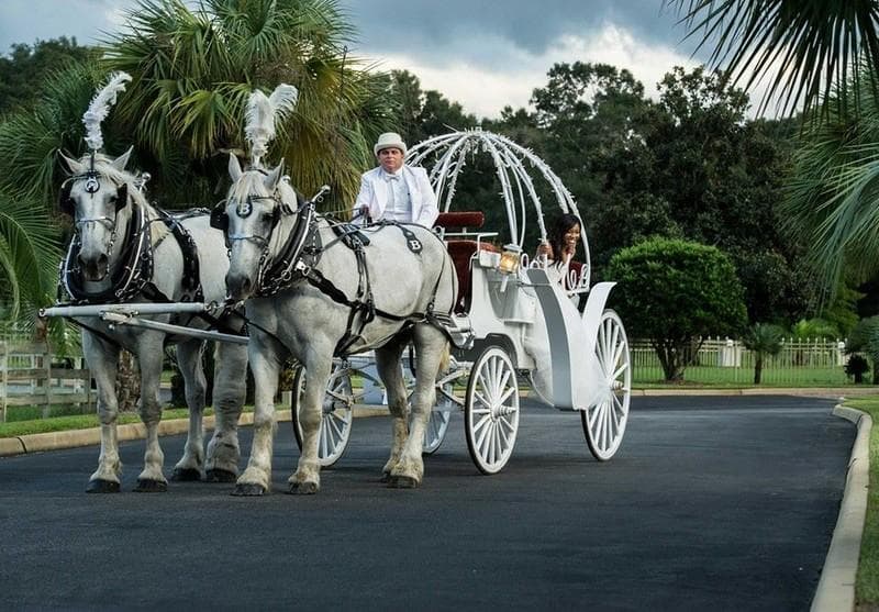 Bay Limousine Service, gallery photograph 5