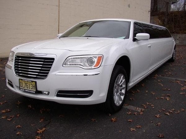D&G Limousine, gallery photograph 5