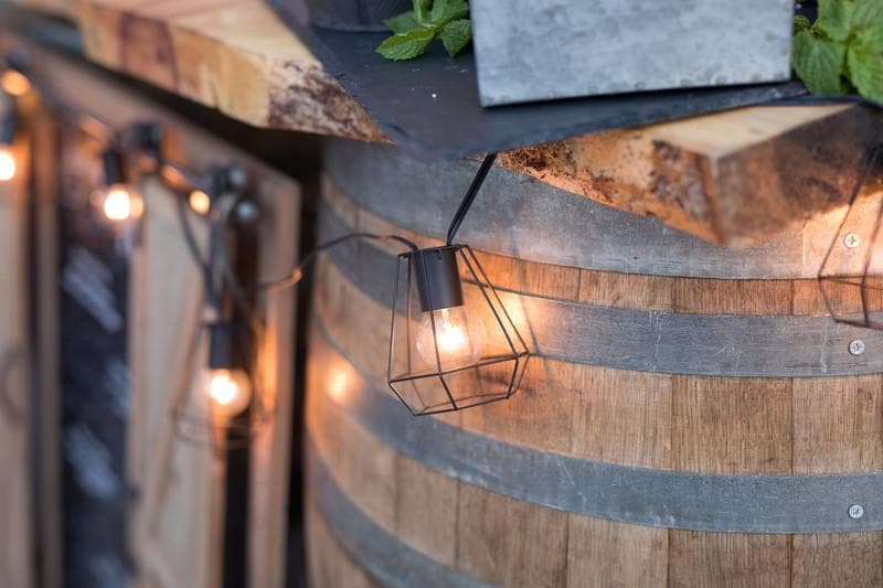 Fox & Lantern, gallery photograph 15