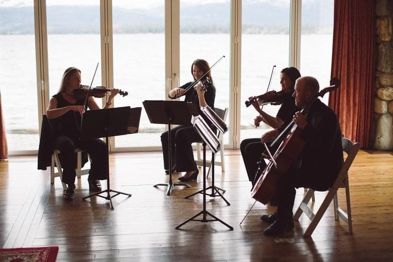 Silhouette String Ensemble — Ceremony Music, portfolio photo 1