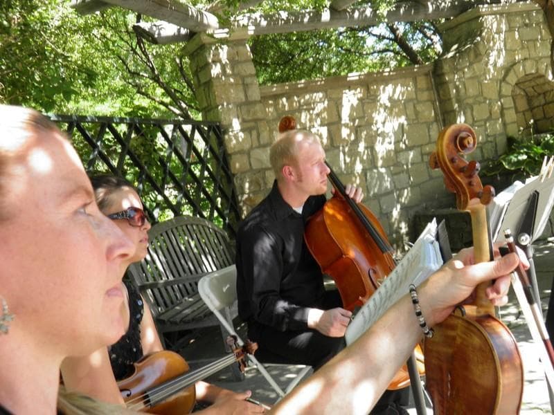 Silhouette String Ensemble — Ceremony Music, portfolio photo 2