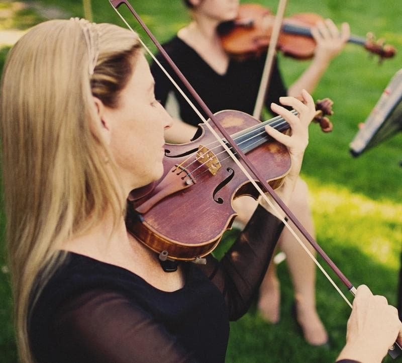 Silhouette String Ensemble — Ceremony Music, portfolio photo 3