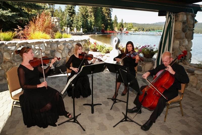 Silhouette String Ensemble — Ceremony Music, portfolio photo 5