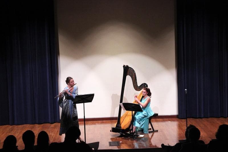 Elegant Harp — Ceremony Music, portfolio photo 5