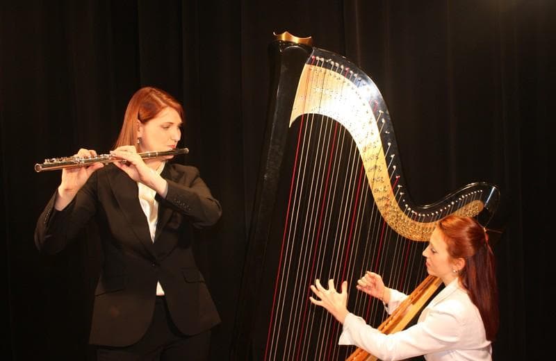 Elegant Harp — Ceremony Music, portfolio photo 6