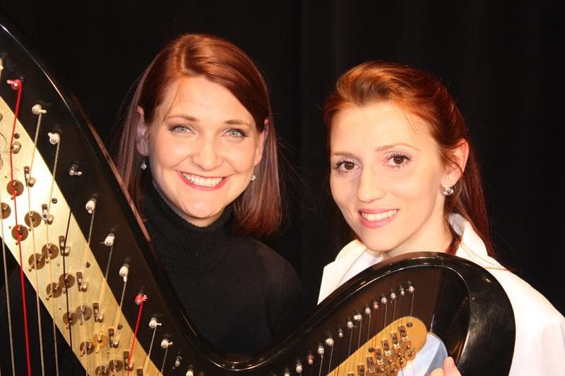 Elegant Harp — Ceremony Music, portfolio photo 8