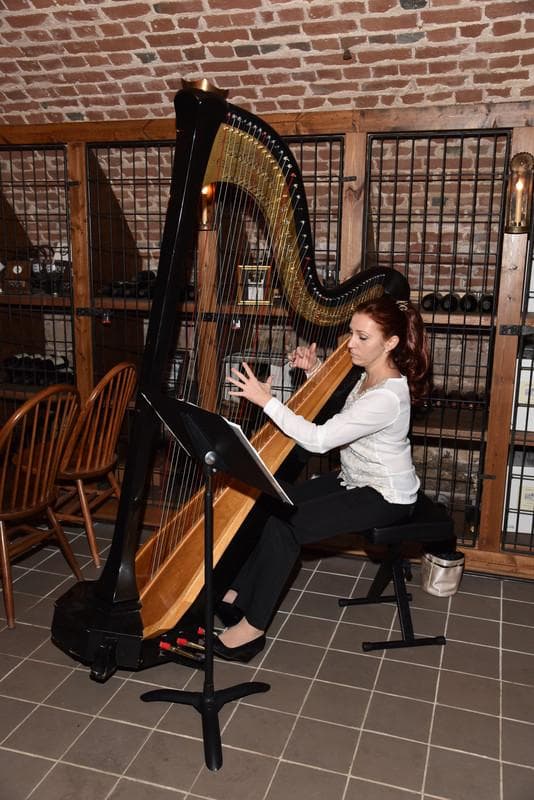 Elegant Harp — Ceremony Music, portfolio photo 9