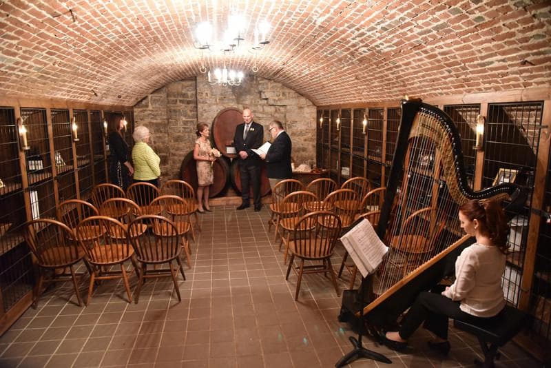 Elegant Harp — Ceremony Music, portfolio photo 13