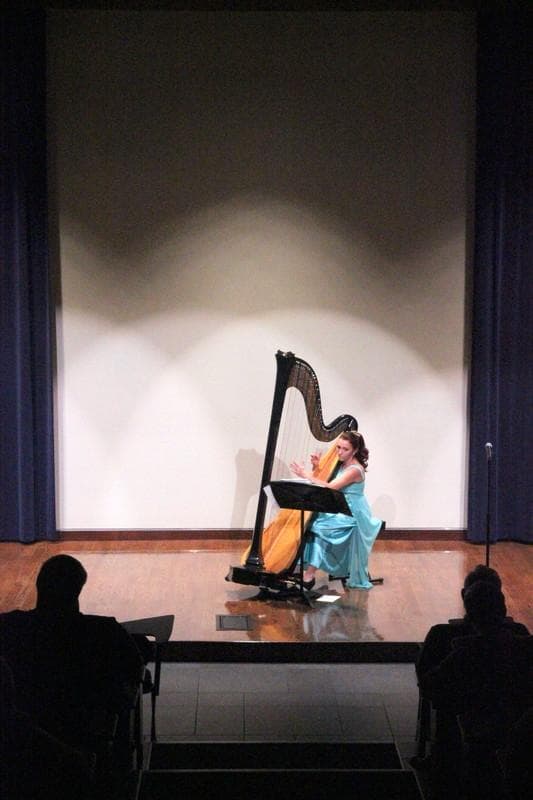 Elegant Harp — Ceremony Music, portfolio photo 14