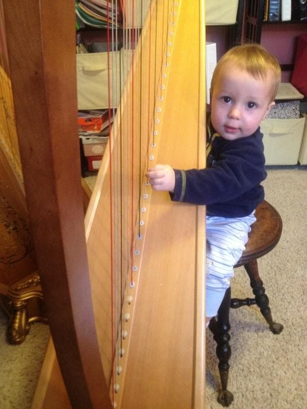 Elegant Harp — Ceremony Music, portfolio photo 16
